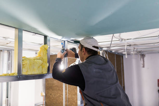 Best Specialized Insulation Services in Holley, NY