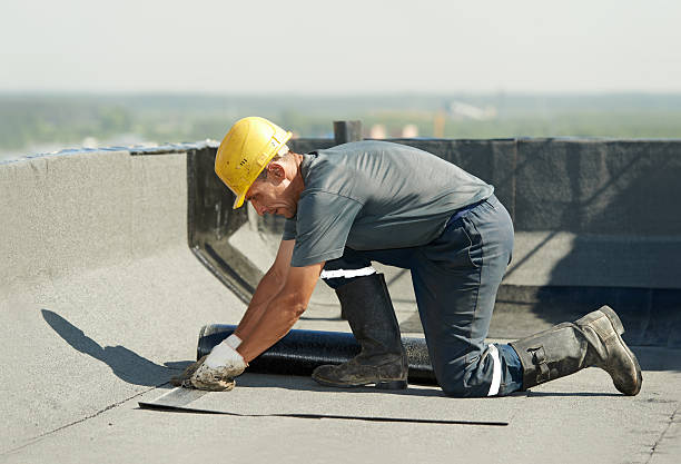 Best Geographic-Specific Insulation Services in Holley, NY